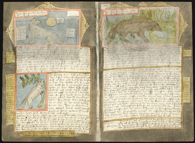Visboeck . Adriaena Coenena autorstwa Adriaen Coenen