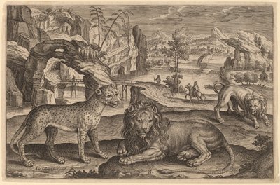 Lampart i dwa lwy autorstwa Adriaen Collaert