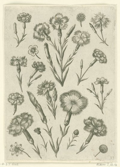 Różne gniewy Florilegium (tytuł serii) autorstwa Adriaen Collaert