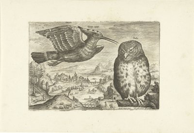 Niektóre ptaki w krajobrazie Ptaki (tytuł serii) Avivm vivae (tytuł serii) autorstwa Adriaen Collaert