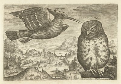 Niektóre ptaki w krajobrazie Ptaki (tytuł serii) Avivm vivae (tytuł serii) autorstwa Adriaen Collaert