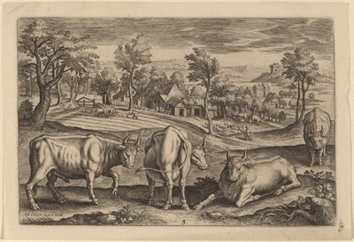 Cztery byki autorstwa Adriaen Collaert