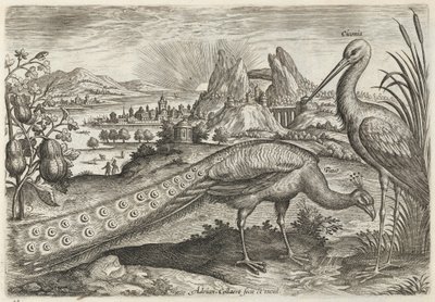 Paw i bocian autorstwa Adriaen Collaert