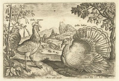 Dwie kury w krajobrazie Avium Vivae (tytuł serii) Ptaki (tytuł serii) autorstwa Adriaen Collaert