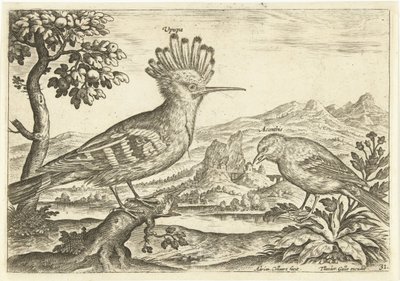 Dwa ptaki w krajobrazie Ptaki (tytuł serii) Avium Vivae (tytuł serii) autorstwa Adriaen Collaert