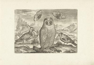 Ptaki i motyle w krajobrazie Ptaki (tytuł serii) Avium vivae (tytuł serii) autorstwa Adriaen Collaert