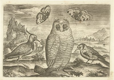 Ptaki i motyle w krajobrazie Ptaki (tytuł serii) Avium vivae (tytuł serii) autorstwa Adriaen Collaert
