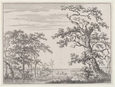 Krajobraz ze strumieniem i pradawnym drzewem autorstwa Adriaen Hendricks Verboom