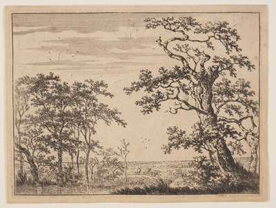 The Pond autorstwa Adriaen Hendricksz. Verboom