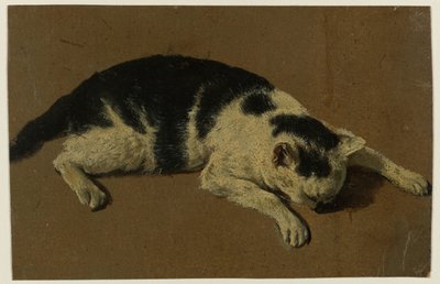 Kot leżący z głową między przednimi nogami autorstwa Adriaen van de Velde (attributed to)