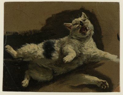 Kot leżący na grzbiecie i luźna łapa autorstwa Adriaen van de Velde (attributed to)