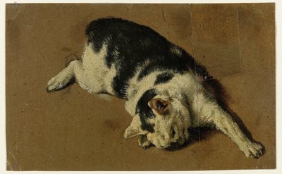 Kot leżący na boku z wyprostowaną przednią lewą nogą autorstwa Adriaen van de Velde (attributed to)
