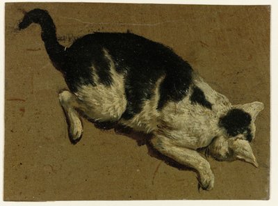 Kot spoglądający w dół z platformy autorstwa Adriaen van de Velde (attributed to)