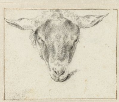 Głowa owcy, od przodu autorstwa Adriaen van de Velde (attributed to)