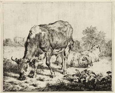 Krowa i trzy owce autorstwa Adriaen van de Velde
