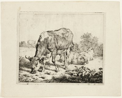 Wypas byka i trzy owce autorstwa Adriaen van de Velde