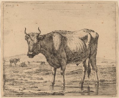 Byk stojący w wodzie autorstwa Adriaen van de Velde