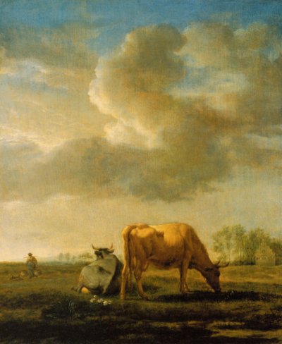 Krowy na polu autorstwa Adriaen van de Velde