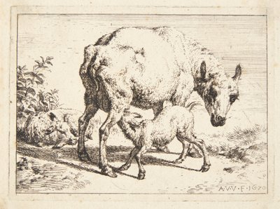 Owce i dwa baranki autorstwa Adriaen van de Velde