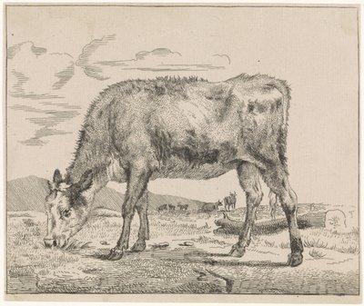 Wypas cieląt Zwierzęta gospodarskie (tytuł serii) autorstwa Adriaen van de Velde