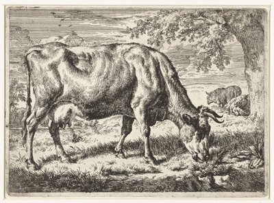 Wypas krowy i dwie owce Krowy i owce (tytuł serii) autorstwa Adriaen van de Velde