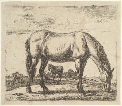 Pasący się koń, z różnych zwierząt. autorstwa Adriaen van de Velde