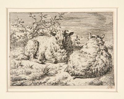 Dwie owce autorstwa Adriaen van de Velde