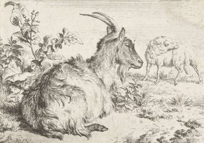 Leżąca koza, 1670 autorstwa Adriaen van de Velde