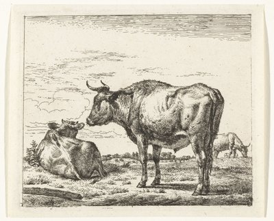 stojący byk Różne zwierzęta (tytuł serii) autorstwa Adriaen van de Velde