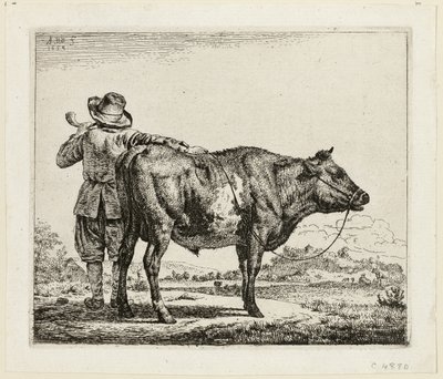 Pasterz i Byk autorstwa Adriaen van de Velde
