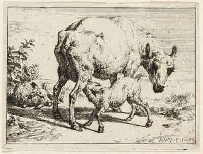 Jagnię autorstwa Adriaen van de Velde