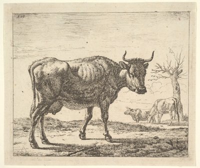 Trzy krowy z różnych zwierząt. autorstwa Adriaen van de Velde
