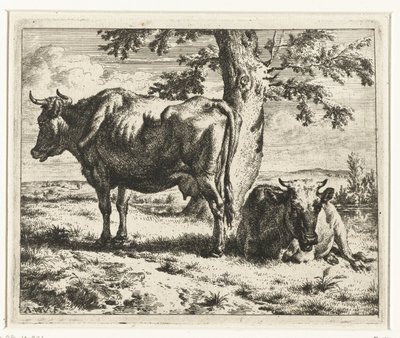 Dwie krowy pod drzewem Krowy i owce (tytuł serii) autorstwa Adriaen van de Velde