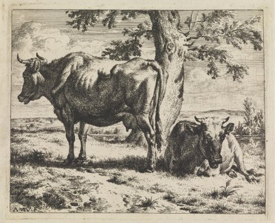 Dwie krowy pod drzewem autorstwa Adriaen van de Velde