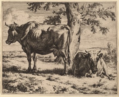Dwie krowy pod drzewem autorstwa Adriaen van de Velde
