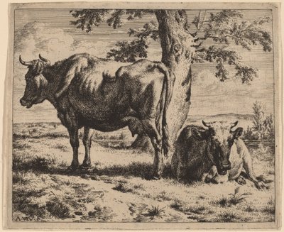 Dwie krowy pod drzewem autorstwa Adriaen van de Velde