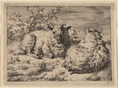 Dwie leżące owce autorstwa Adriaen van de Velde
