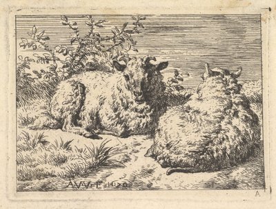 Dwie leżące owce, 1670. autorstwa Adriaen van de Velde