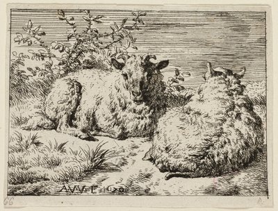 Dwie owce autorstwa Adriaen van de Velde