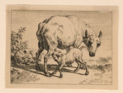 Ewe autorstwa Adrian van de Velde