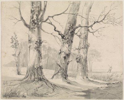 zimowy krajobraz autorstwa Adrianus Eversen