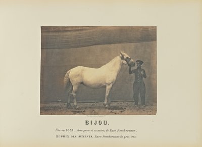 Bijou autorstwa Adrien Alban Tournachon