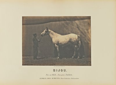 Bijou autorstwa Adrien Alban Tournachon