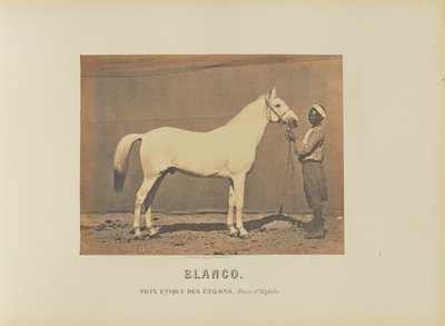 Blanco autorstwa Adrien Alban Tournachon