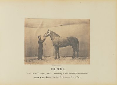 Henri autorstwa Adrien Alban Tournachon
