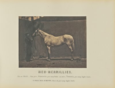 Meg-Merrillies autorstwa Adrien Alban Tournachon