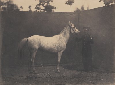 Paskalina, ca. 1855-60. autorstwa Adrien Alban Tournachon