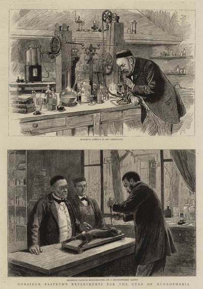 Eksperymenty Monsieur Pasteura w leczeniu hydrofobii autorstwa Adrien Emmanuel Marie