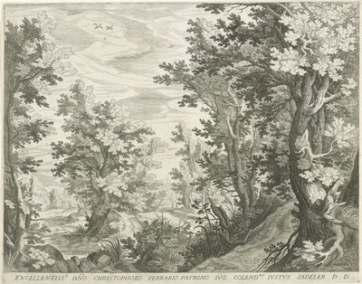 leśny krajobraz autorstwa Egidius  Sadeler (II)