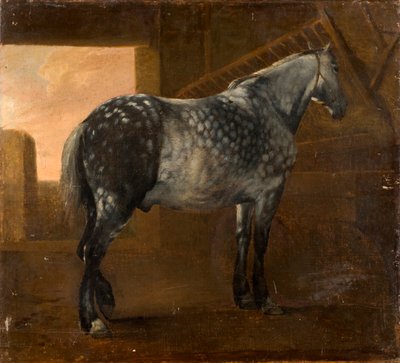 Jasnoszary koń autorstwa Aelbert Cuyp